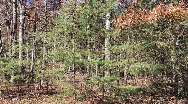 0.32 Acres of Land for Sale in Crossville, Tennessee