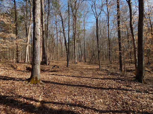 5 Acres of Residential Land for Sale in Clifton, Tennessee