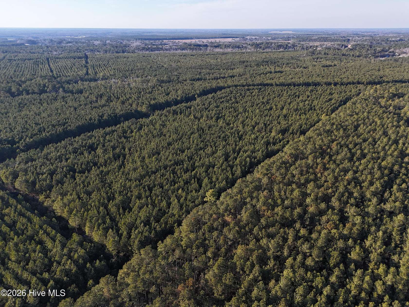 40.2 Acres of Recreational & Residential Land for Sale in Beulaville, North Carolina