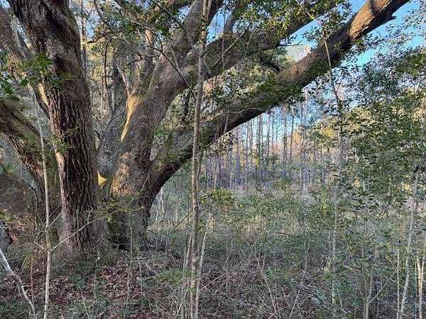 0.8 Acres of Residential Land for Sale in McClellanville, South Carolina