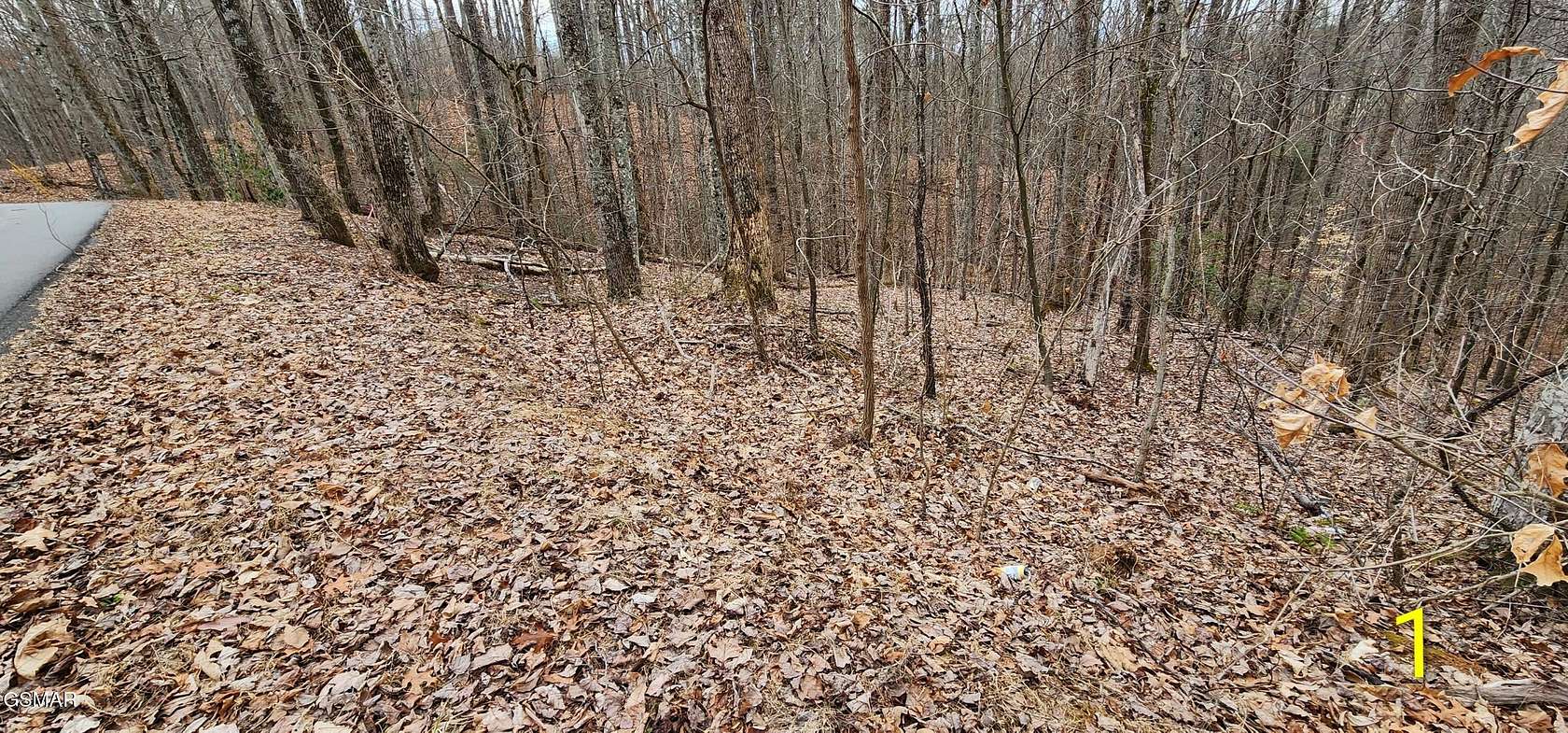 18 Acres of Land for Sale in Sevierville, Tennessee