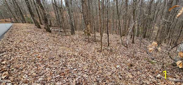 17 Acres of Land for Sale in Sevierville, Tennessee