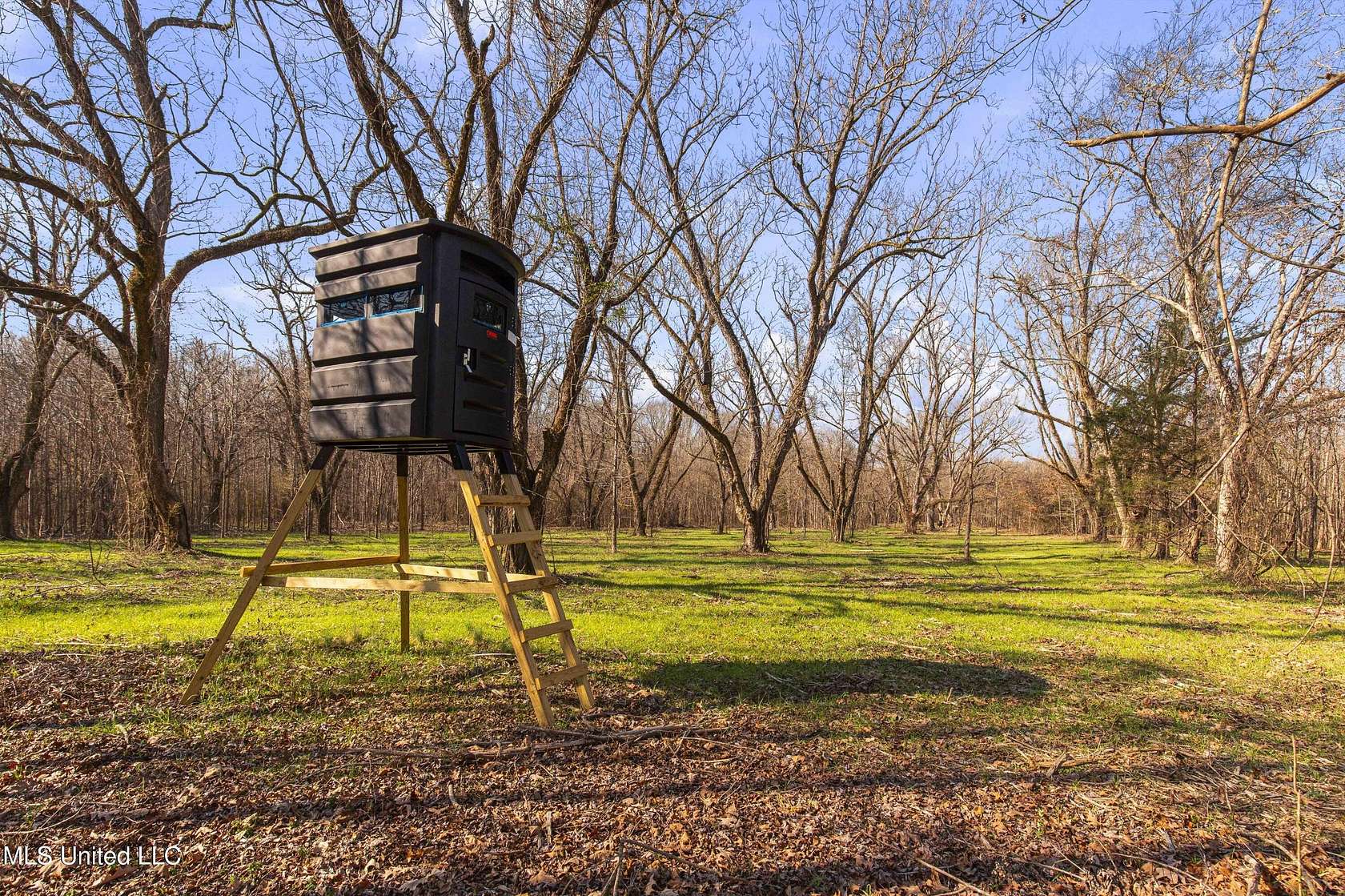 187 Acres of Recreational & Residential Land for Sale in Canton, Mississippi