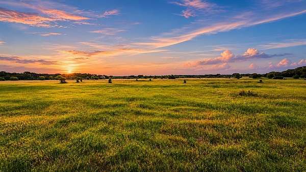 83.5 Acres of Land with Home for Sale in Jonesboro, Texas