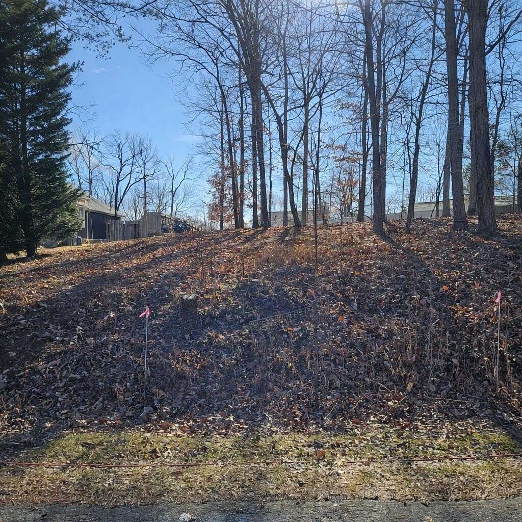 0.38 Acres of Residential Land for Sale in Blue Ridge, Virginia