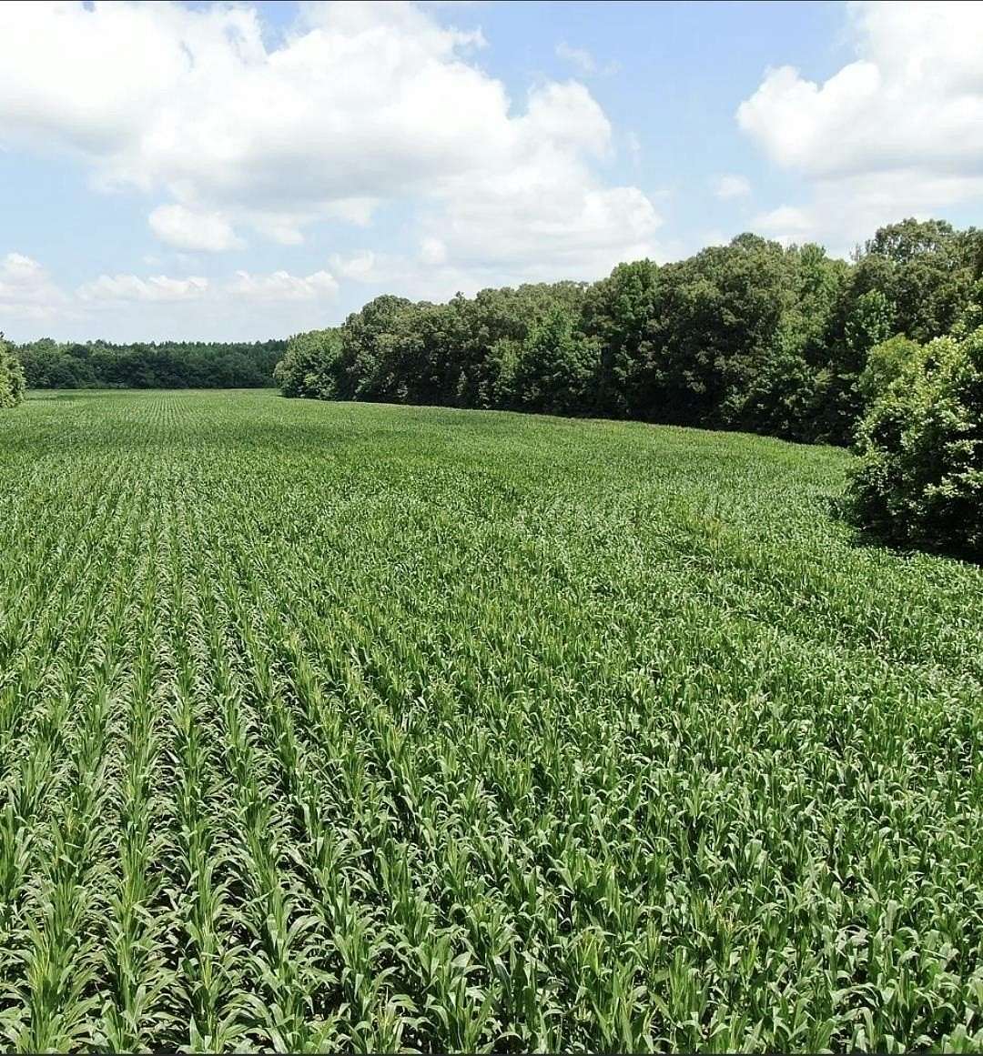 50 Acres of Land for Sale in Moscow, Tennessee