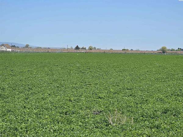 23.4 Acres of Agricultural Land for Sale in Sunnyside, Washington