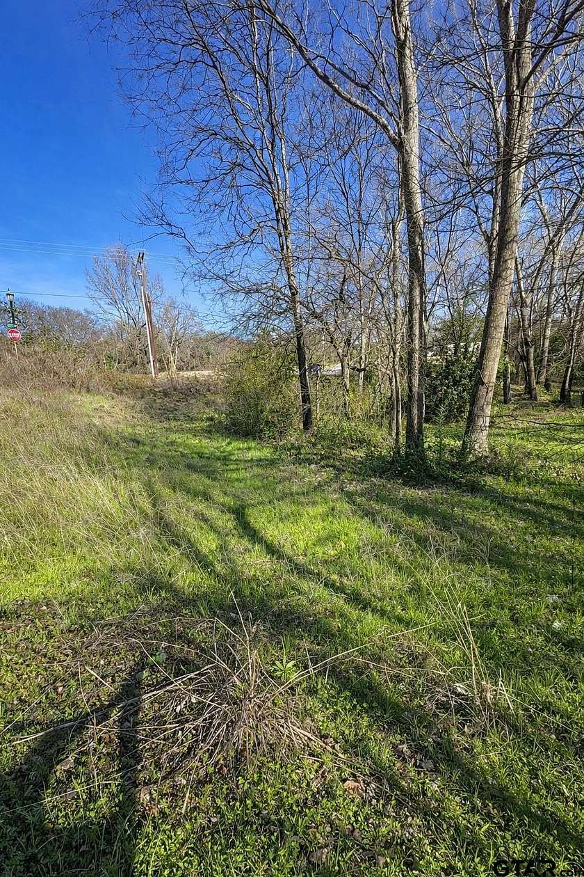 0.32 Acres of Residential Land for Sale in Tyler, Texas