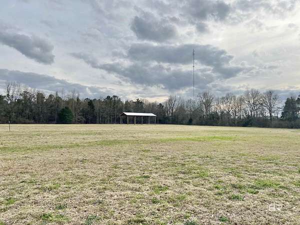 16.4 Acres of Land for Sale in Frisco City, Alabama