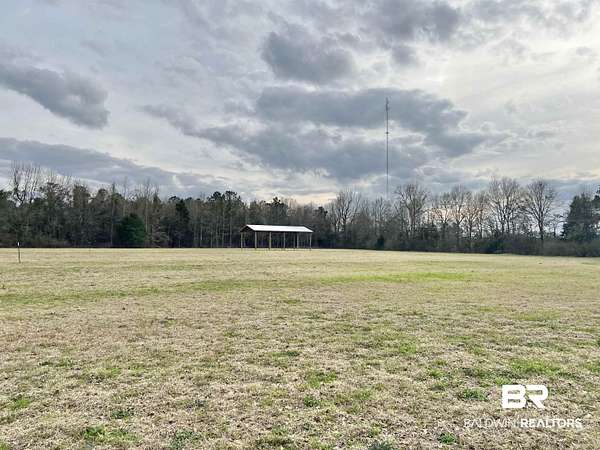 16.4 Acres of Land for Sale in Frisco City, Alabama