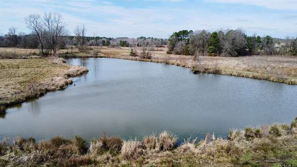 146 Acres of Agricultural Land for Sale in Linden, Texas
