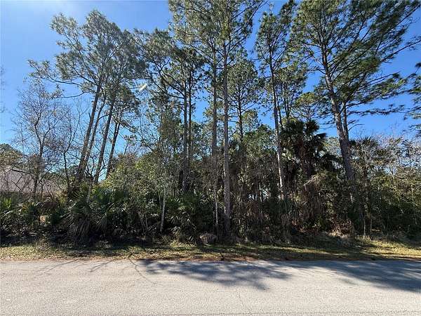 0.23 Acres of Residential Land for Sale in Palm Coast, Florida