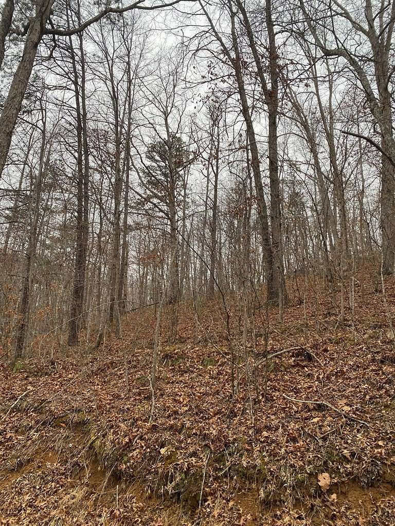 167 Acres of Recreational & Residential Land for Sale in Salyersville, Kentucky