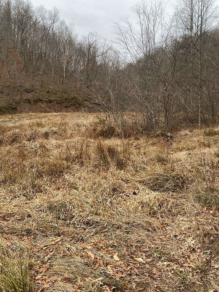 167 Acres of Recreational & Residential Land for Sale in Salyersville, Kentucky