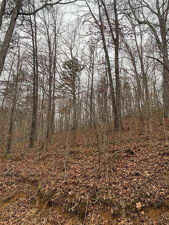 167 Acres of Recreational & Residential Land for Sale in Salyersville, Kentucky
