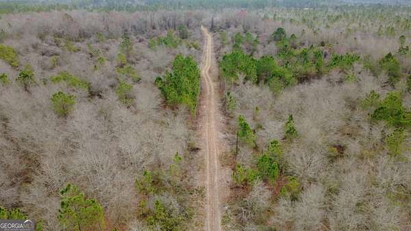 53 Acres of Recreational Land for Sale in Waycross, Georgia
