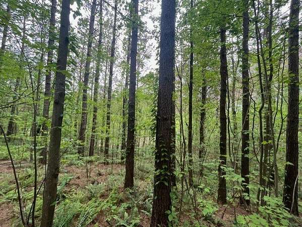 1.75 Acres of Land for Sale in Ellijay, Georgia