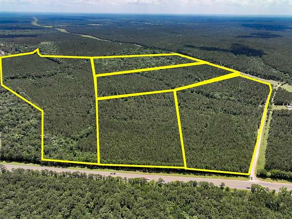 46 Acres of Recreational Land for Sale in Oakhurst, Texas