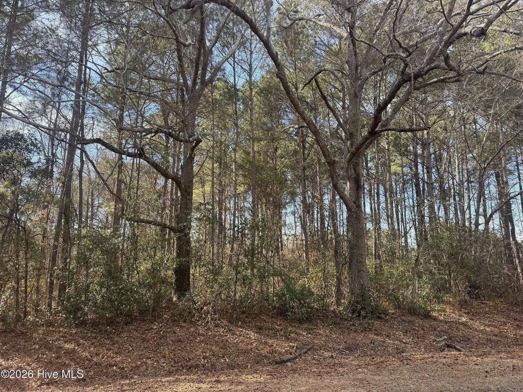 3 Acres of Residential Land for Sale in Bladenboro, North Carolina