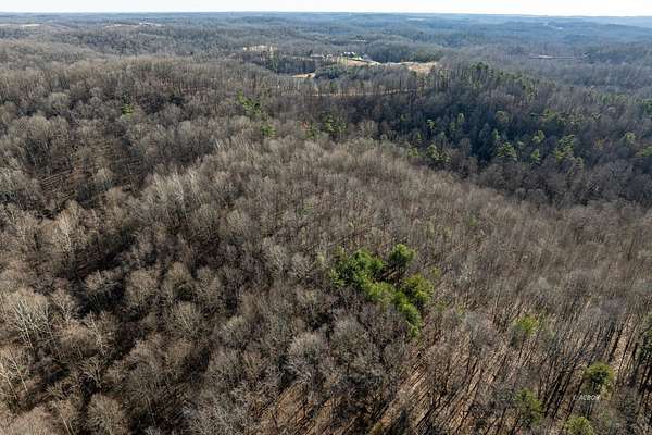 19.5 Acres of Recreational Land for Sale in Patriot, Ohio