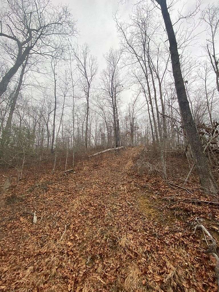 38.4 Acres of Recreational & Residential Land for Sale in Salyersville, Kentucky