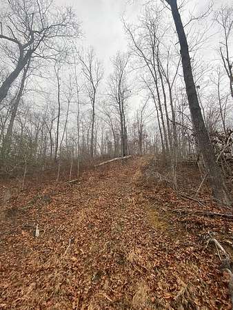 38.4 Acres of Recreational & Residential Land for Sale in Salyersville, Kentucky