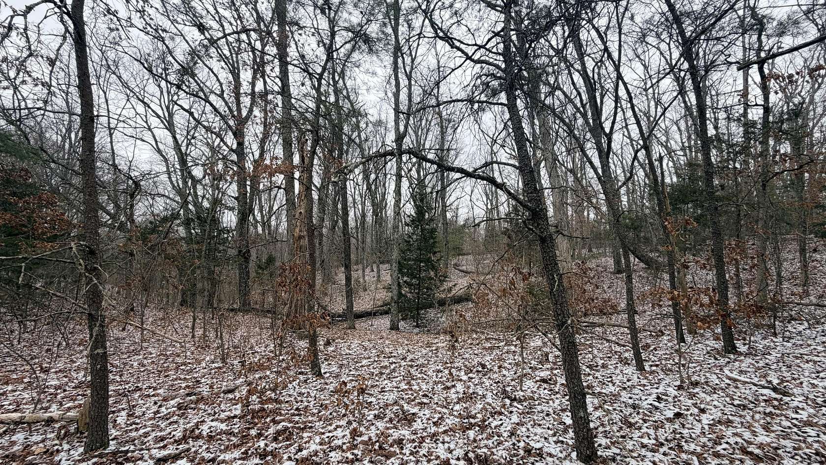 5.18 Acres of Residential Land for Sale in Paint Lick, Kentucky