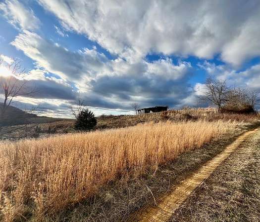 94 Acres of Land for Sale in Brasstown, North Carolina