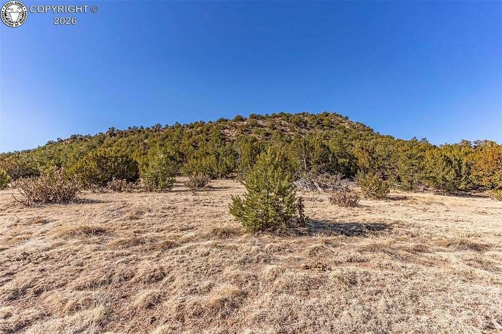 5.13 Acres of Residential Land for Sale in Cotopaxi, Colorado
