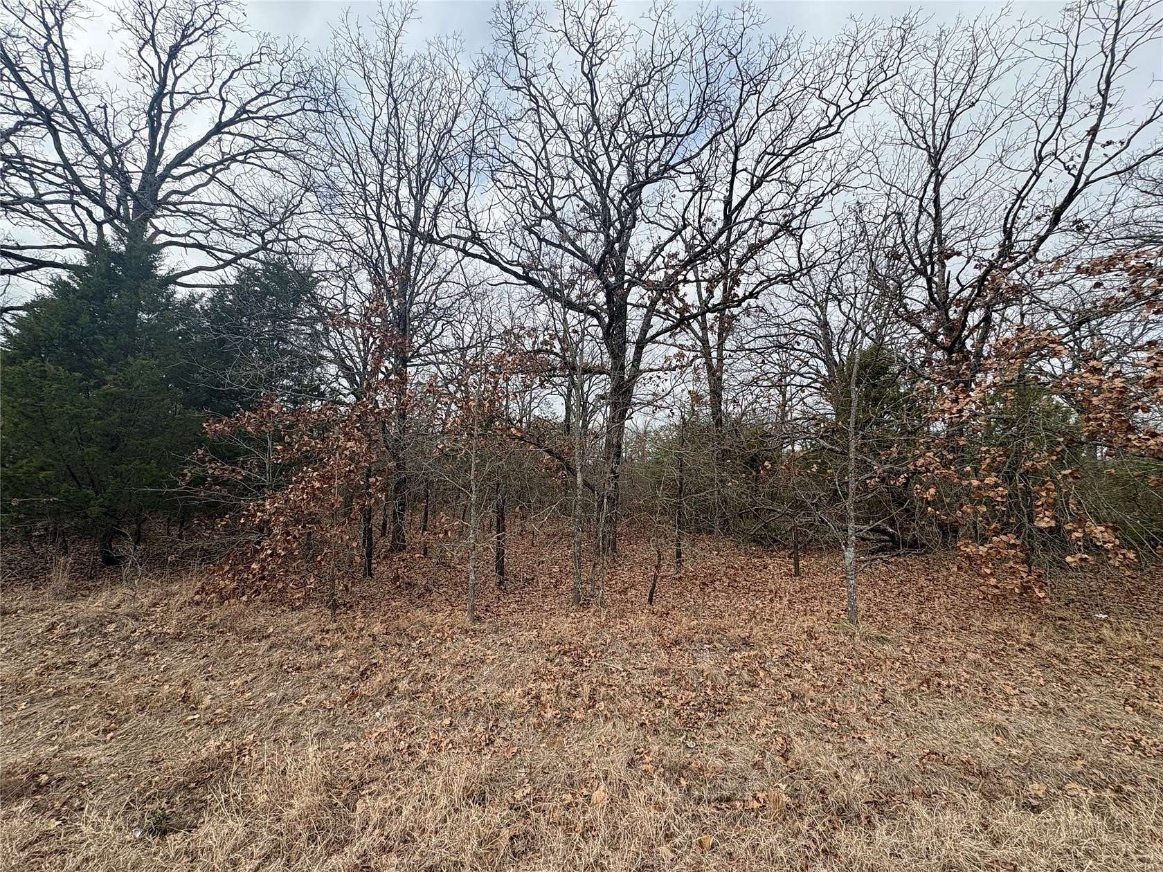 0.07 Acres of Residential Land for Sale in Mabank, Texas