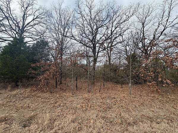 0.07 Acres of Residential Land for Sale in Mabank, Texas