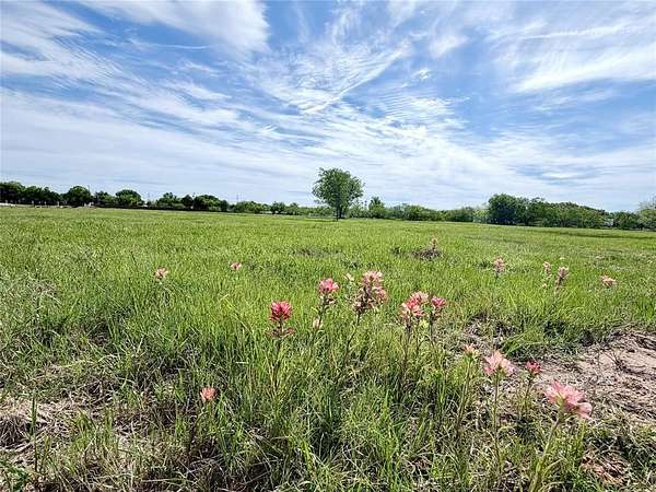 1 Acre of Residential Land for Sale in Whitney, Texas