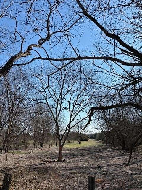 10.1 Acres of Recreational & Residential Land for Sale in Wolfe City, Texas