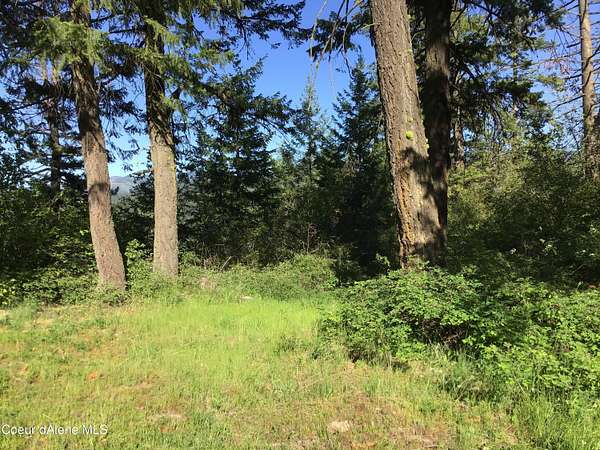 0.61 Acres of Land for Sale in St. Maries, Idaho