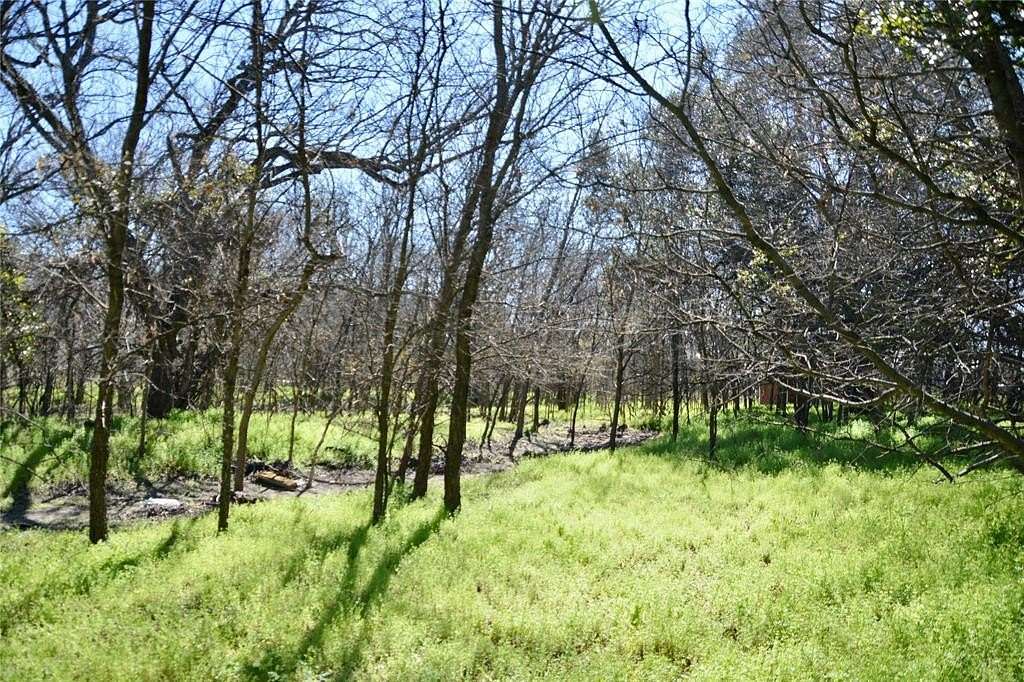 3 Acres of Residential Land for Sale in Goldthwaite, Texas