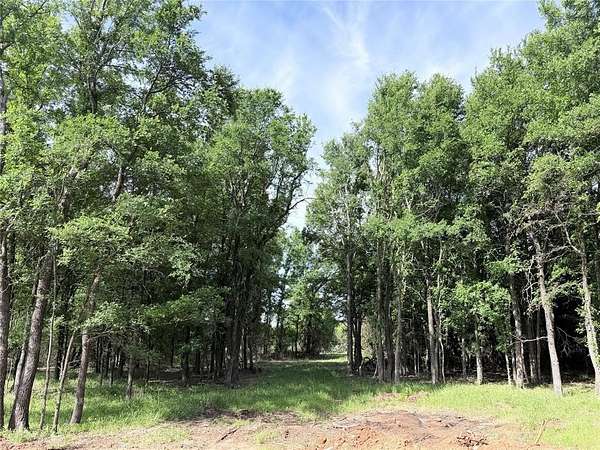 5 Acres of Residential Land for Sale in Whitney, Texas