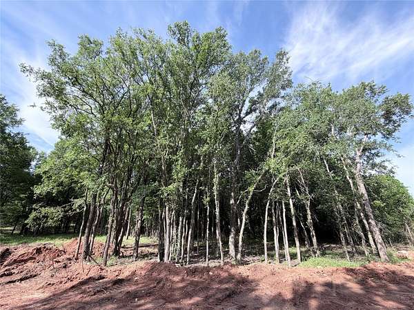 3.1 Acres of Residential Land for Sale in Whitney, Texas