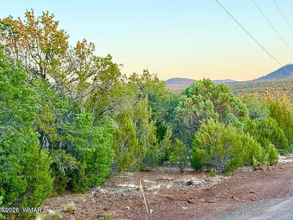 1.15 Acres of Residential Land for Sale in Vernon, Arizona