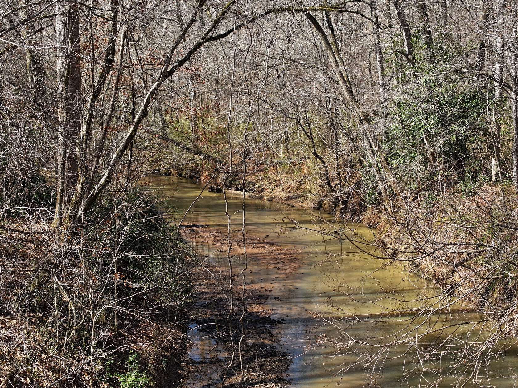 50 Acres of Land for Sale in Gray, Georgia