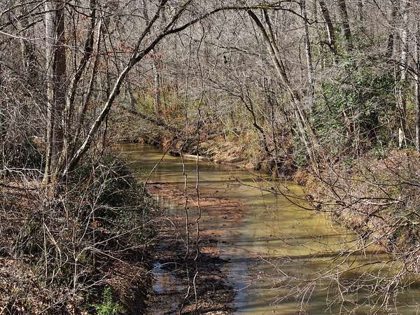 50 Acres of Land for Sale in Gray, Georgia