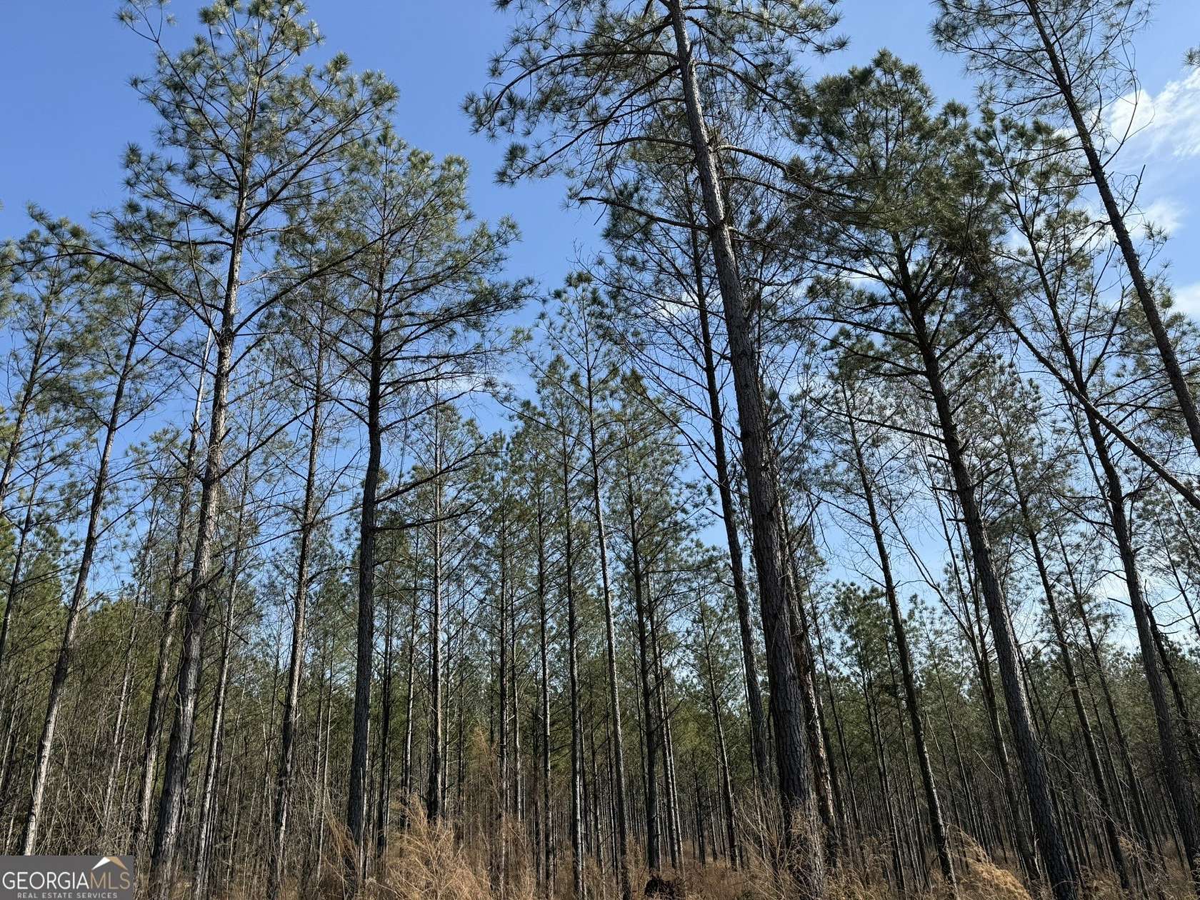 73.5 Acres of Recreational & Residential Land for Sale in Musella, Georgia