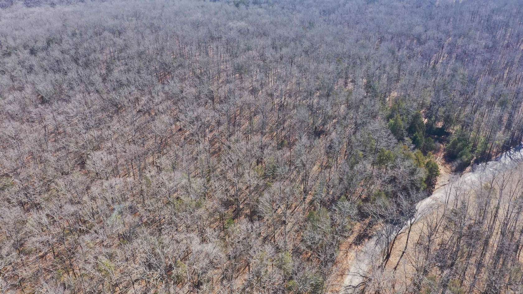 6.5 Acres of Residential Land for Sale in Greenbrier, Arkansas