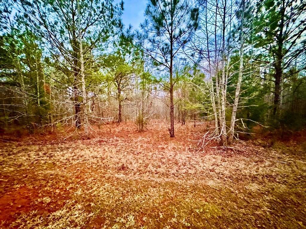 1 Acre of Residential Land for Sale in Hodges, South Carolina