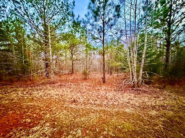 1 Acre of Residential Land for Sale in Hodges, South Carolina