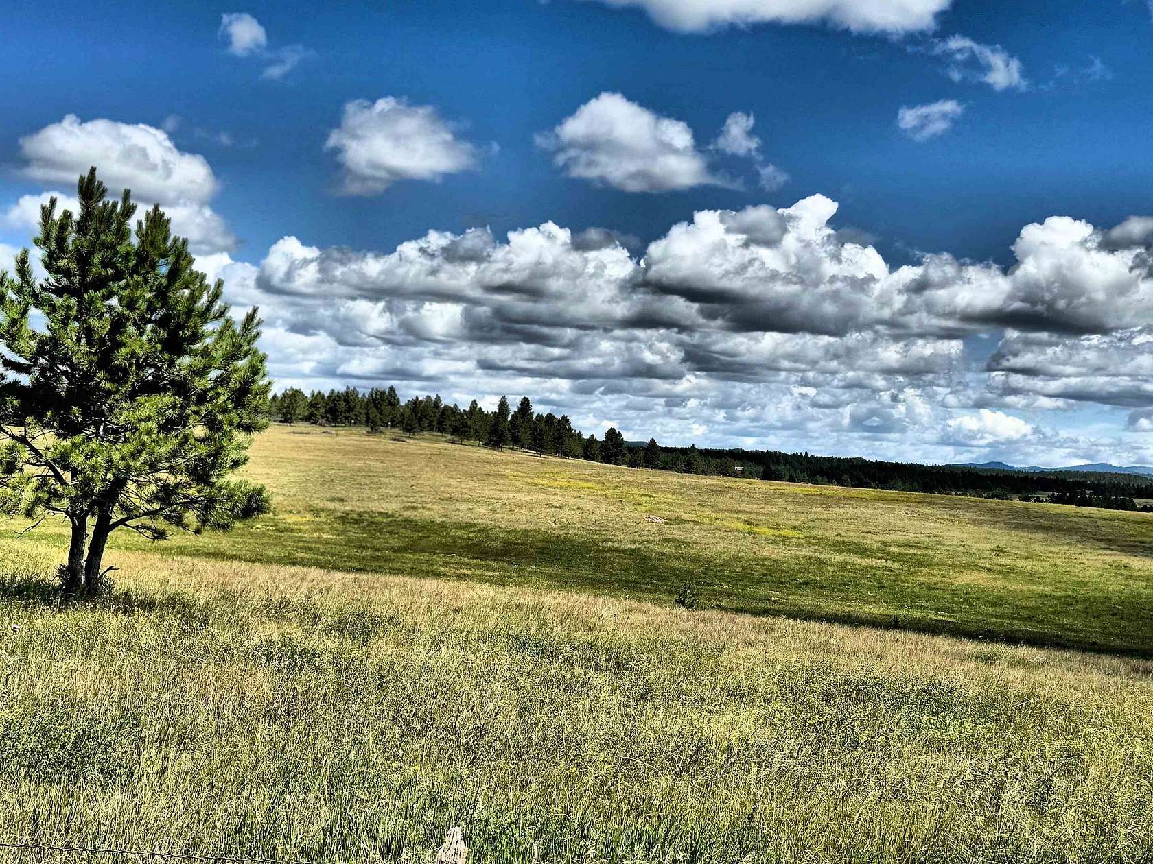 40 Acres of Land for Sale in Custer, South Dakota