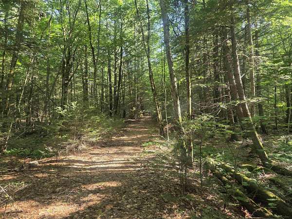14.1 Acres of Land for Sale in Raymond, New Hampshire