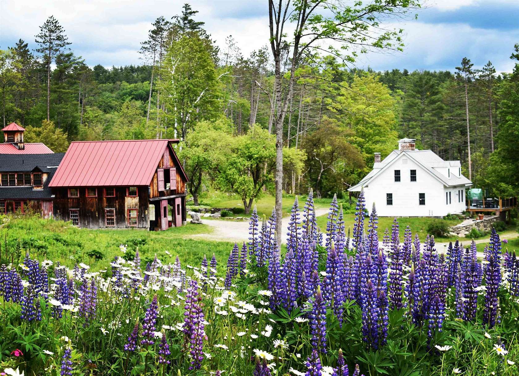 211 Acres of Agricultural Land with Home for Sale in Londonderry, Vermont