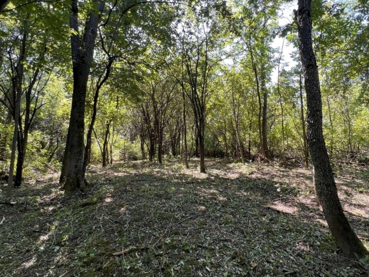 13.6 Acres of Land for Sale in Bridport, Vermont