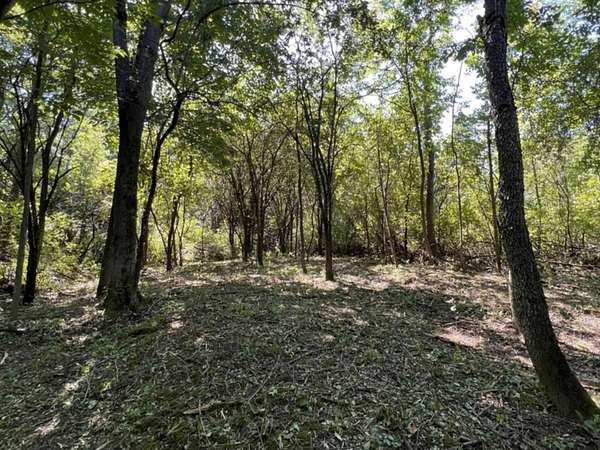 13.6 Acres of Land for Sale in Bridport, Vermont