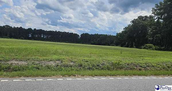 1.38 Acres of Residential Land for Sale in Latta, South Carolina